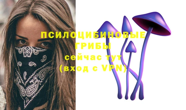 метадон Аркадак